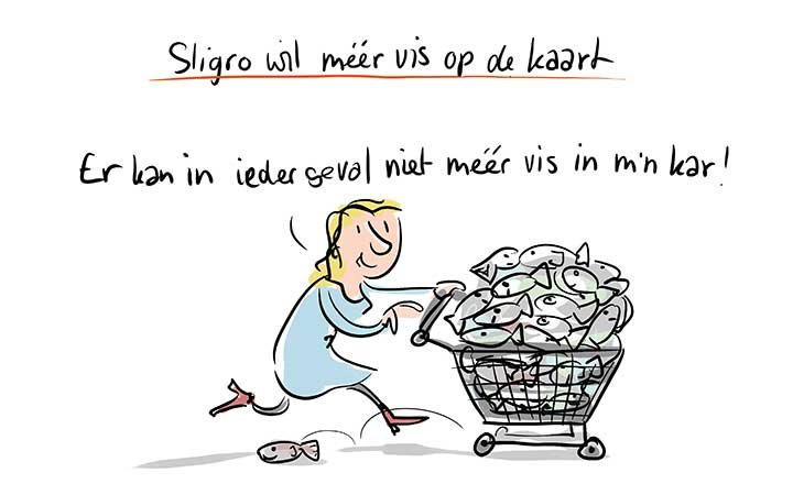 Cartoons als visuele wrap-up
